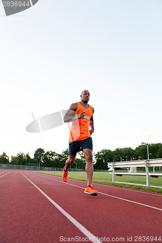 Image of Running At the Track