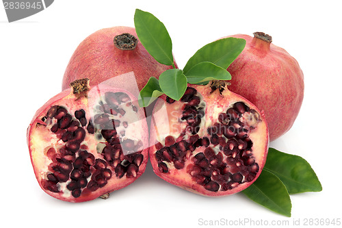 Image of Pomegranate Super Food