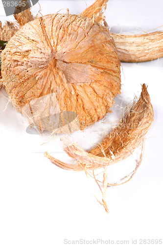 Image of coconut