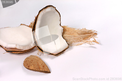 Image of coconut