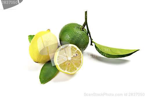 Image of Lemons