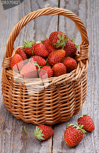 Image of Forest Strawberries