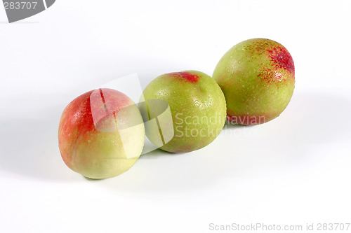 Image of fresh apples