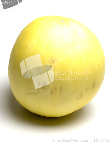 Image of juan canary melon