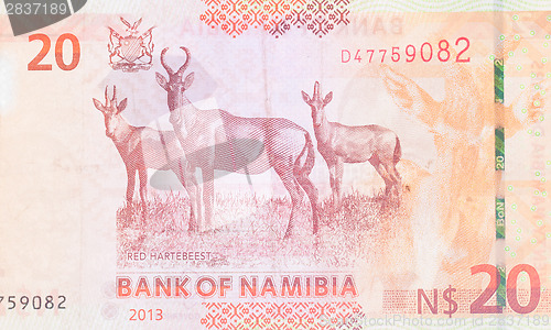 Image of Twenty Namibian Dollars