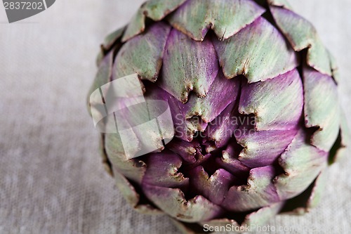 Image of fresh artichoke 