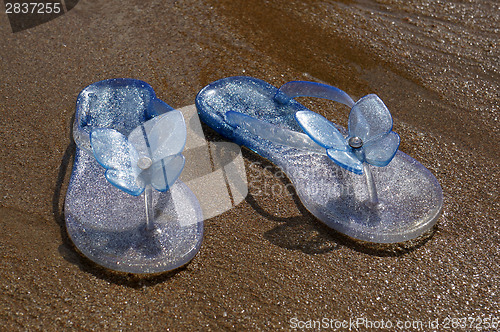 Image of Slates on the sea sand beach