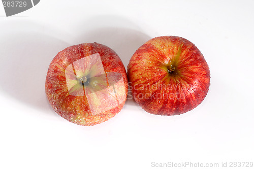 Image of fresh couple apple