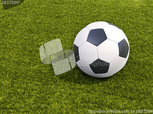 Image of Soccer ball on grass