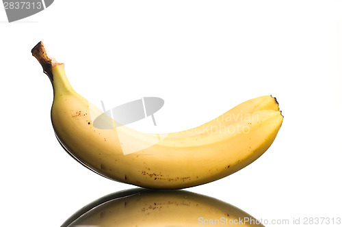 Image of Bananas