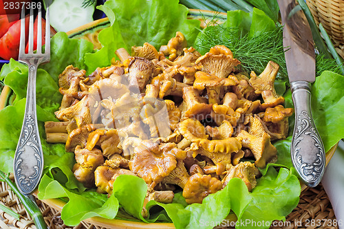 Image of Fried mushrooms of chanterelle on a dish together with lettuce l