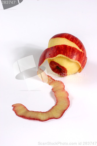 Image of fresh apple