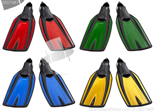 Image of Set of multicolored swimfins