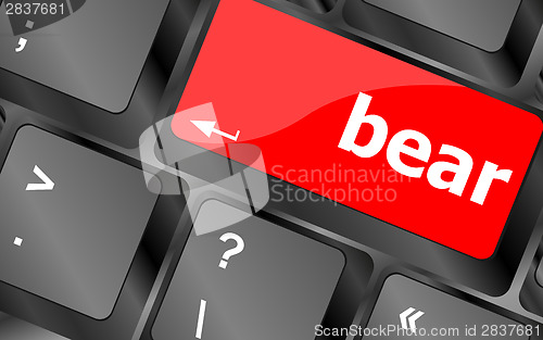 Image of bear word on keyboard key, notebook computer button