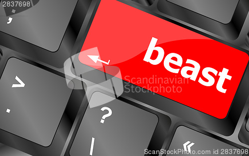 Image of beast word on keyboard key, notebook computer button