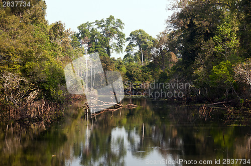 Image of The landscape with a lake and trees.