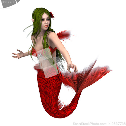 Image of Mermaid