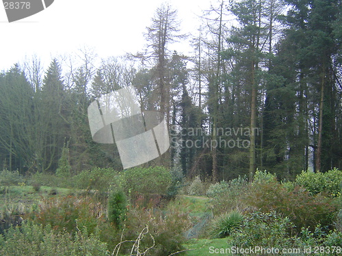 Image of Scotish landscape