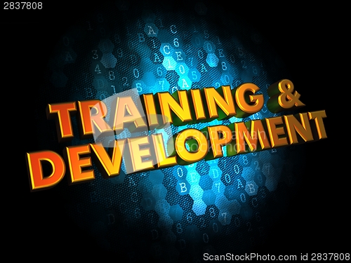 Image of Training and Development on Digital Background.