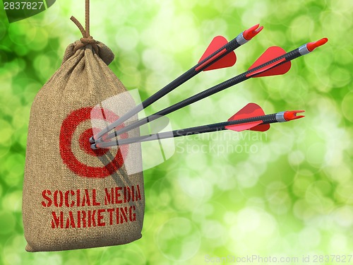 Image of Social Media Marketing - Arrows Hit in Red Mark Target.