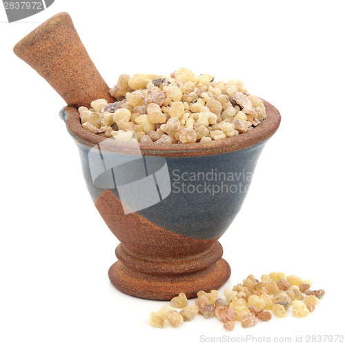 Image of Frankincense