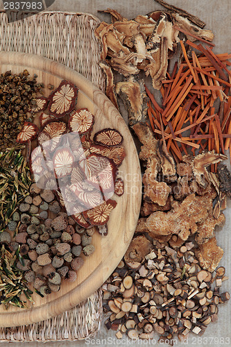 Image of Traditional Chinese Herbal Medicine