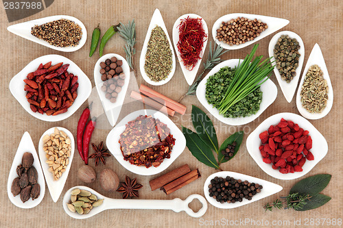 Image of Spices and Herbs