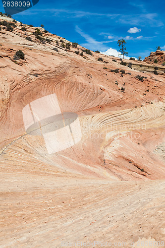 Image of Zion National Park