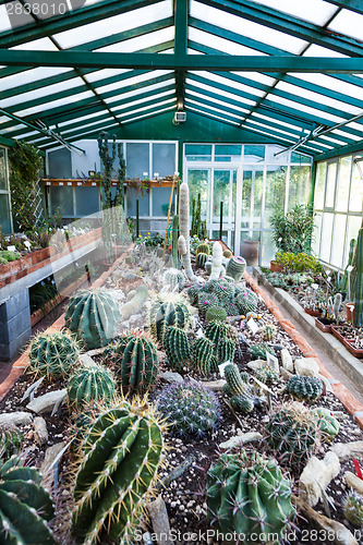 Image of Cactus greenhouse