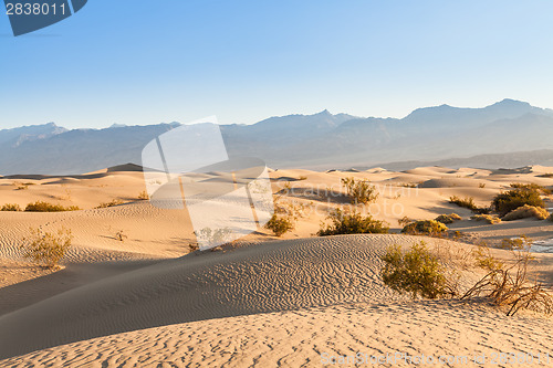 Image of Death Valley Desert