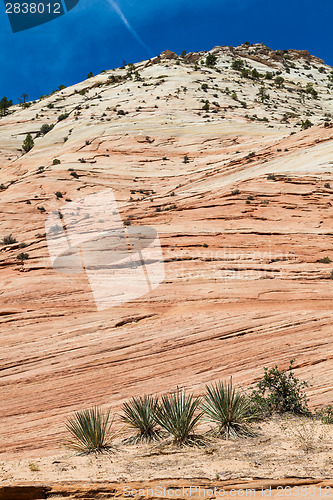 Image of Zion National Park