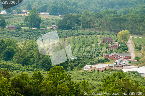 Image of vinyard in a distance of virginia mountains