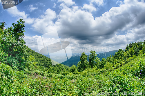 Image of scenics along blue ridge parkway in west virginia