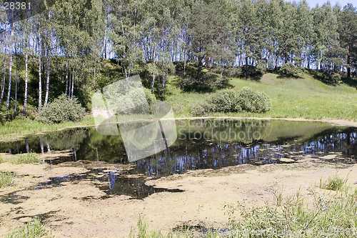 Image of forest lake