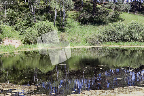 Image of forest lake