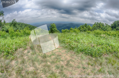 Image of scenics along blue ridge parkway in west virginia
