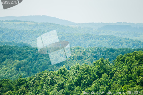 Image of along the Blue Ridge Parkway south of Roanoke