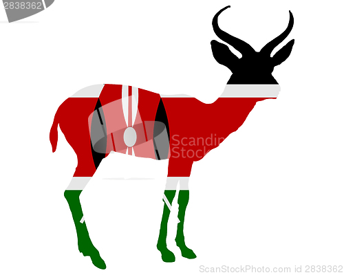 Image of Kenya antelope