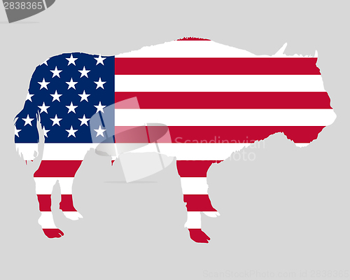 Image of Buffalo in stars and stripes