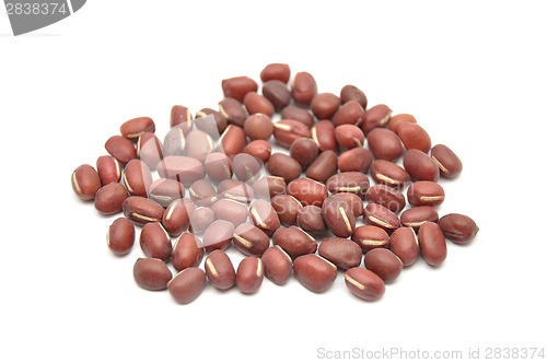Image of Sprouting azuki bean