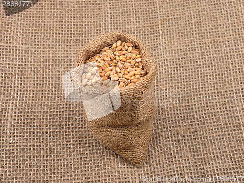 Image of Cereal bag on jute