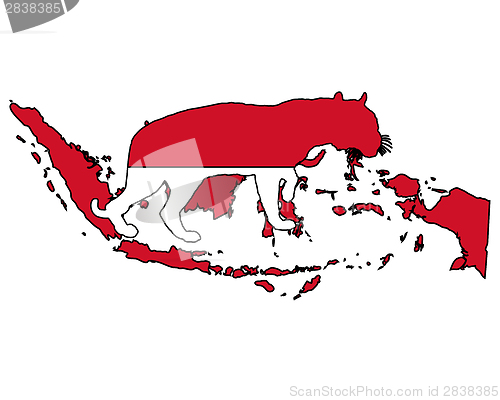 Image of Indonesia tiger