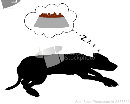 Image of Dog dreams of feeding