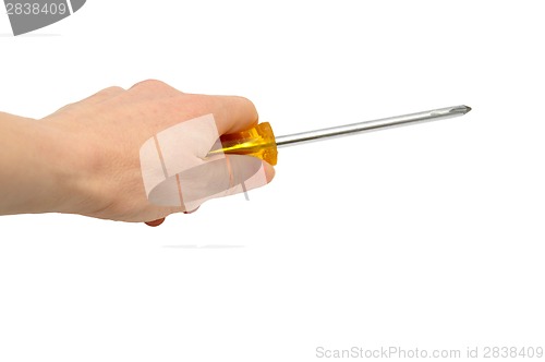 Image of Hand with Crosstip screwdriver 