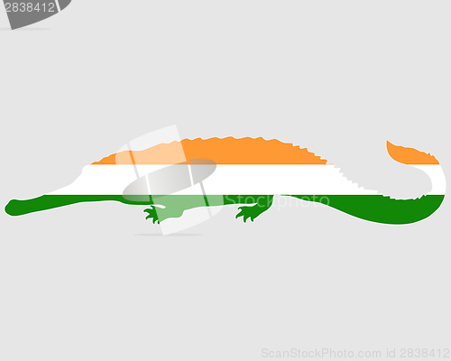 Image of Gharial India