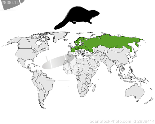Image of Distribution european beaver 