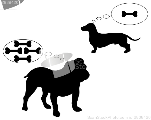 Image of English bulldog and dachshund dream of bones