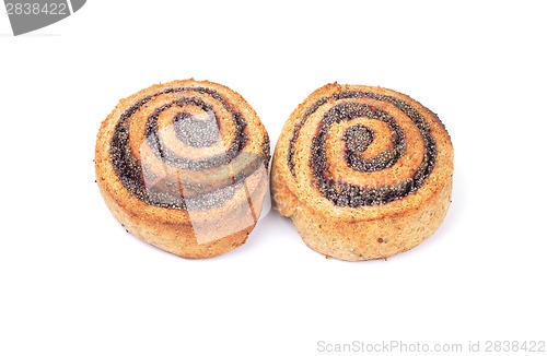 Image of Spiral poppy seed cookie