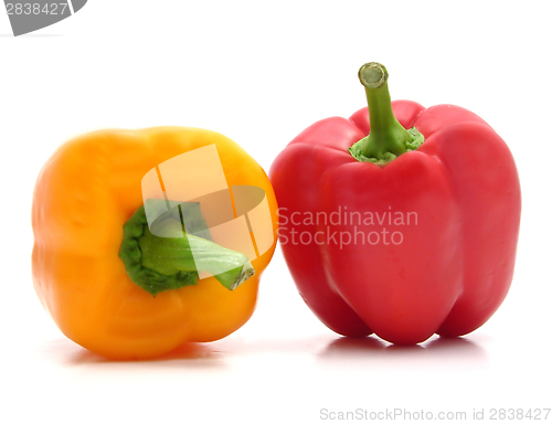 Image of Red and yellow pepper isolated on white background