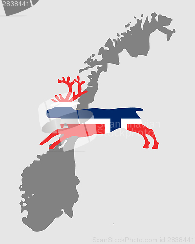 Image of Norwegian reindeer
